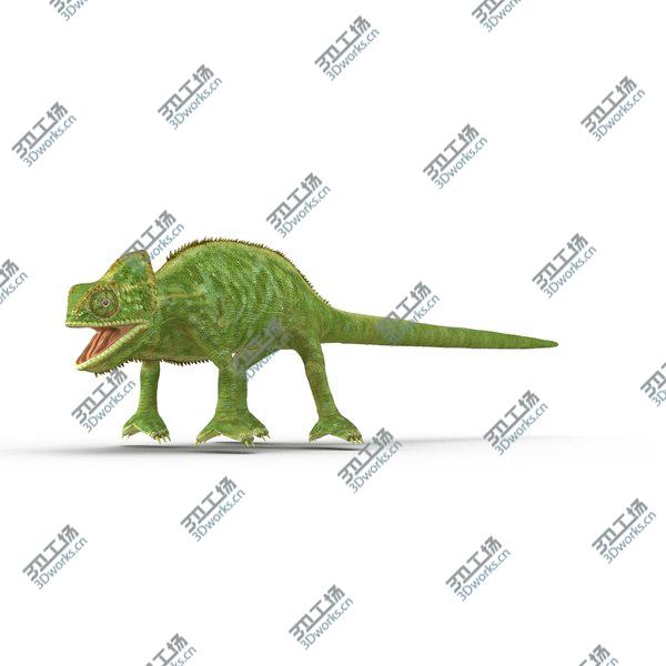 images/goods_img/20210312/Chameleon Rigged for Cinema 4D/4.jpg